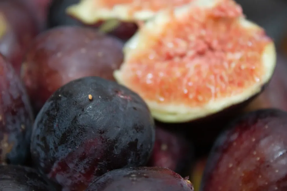 Producteur de figues à Sarrians