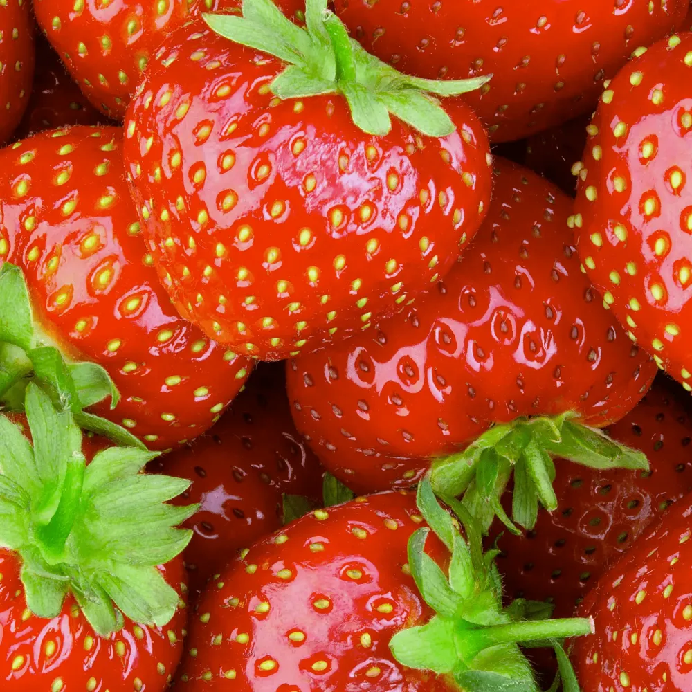Expéditeur de fraises à Sarrians