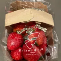 Frizet et fils fraises