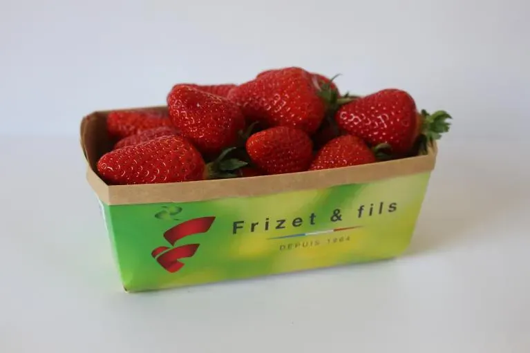 fraise barquette 500g (5) ok