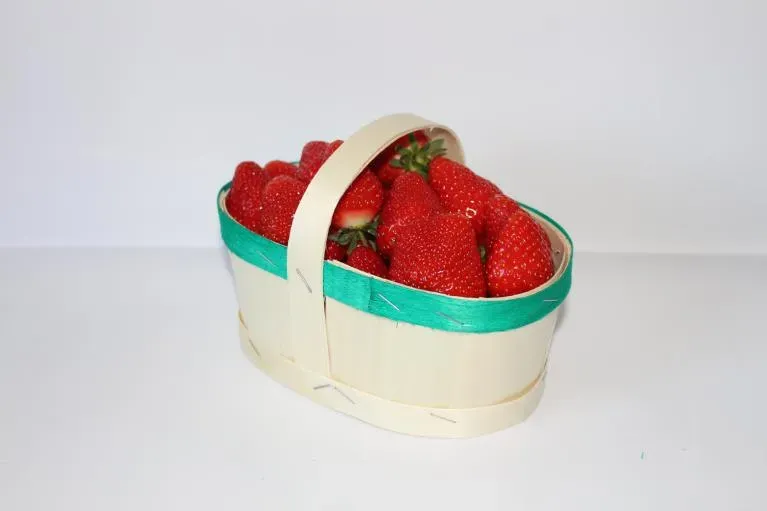 fraise panier 500g (7) ok